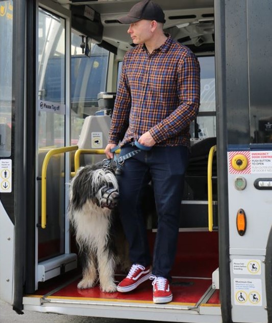 Pets on buses