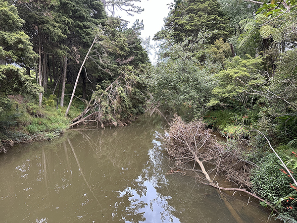 Debris along Matakana River