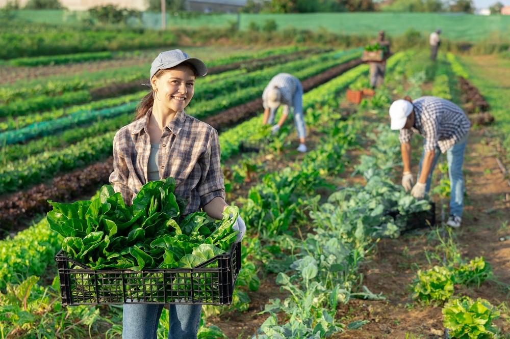 workers in a green field