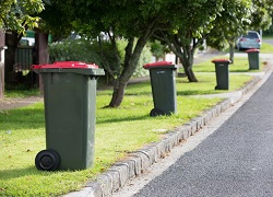 A photo of waste bins placed in a row next to the road