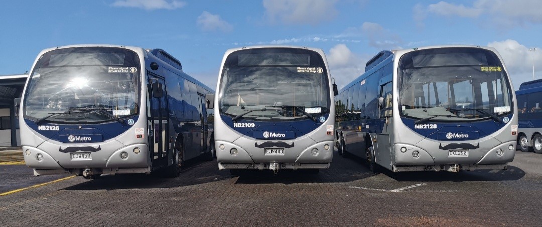 Movember buses