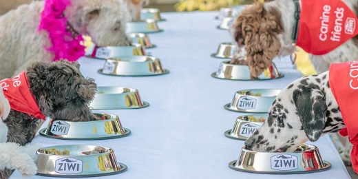Dogs tuck into morning tea to celebrate the opening of the first Ziwi petfood operation in the South Island.