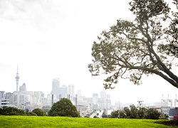 A photo of Auckland City taken from Parnell